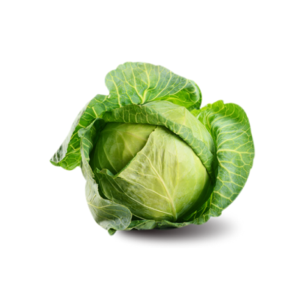 Cabbage (1 bulb)