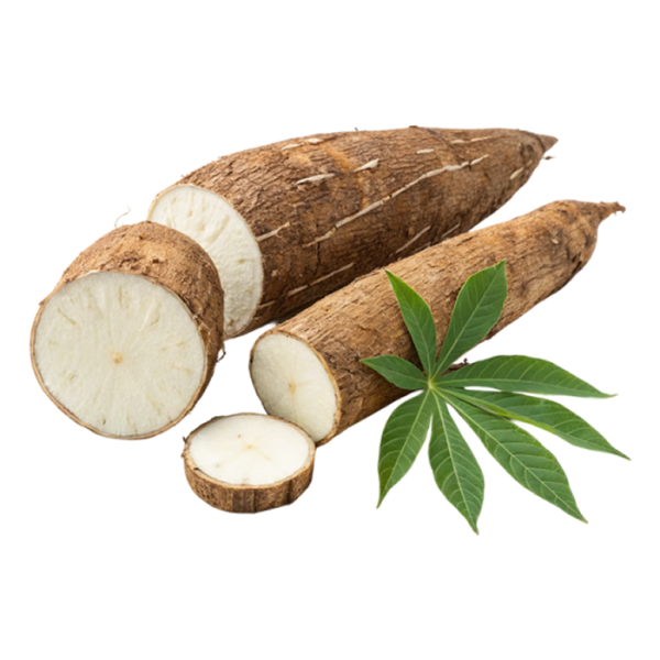 Cassava (5 medium)