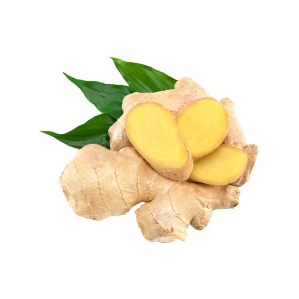 Ginger