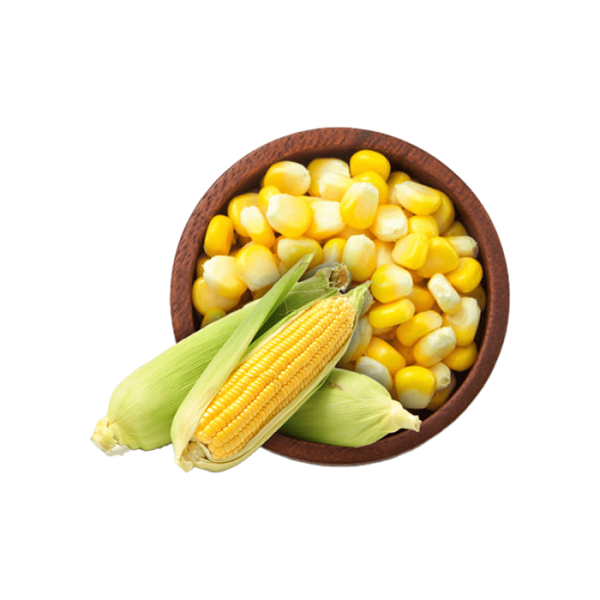 Maize