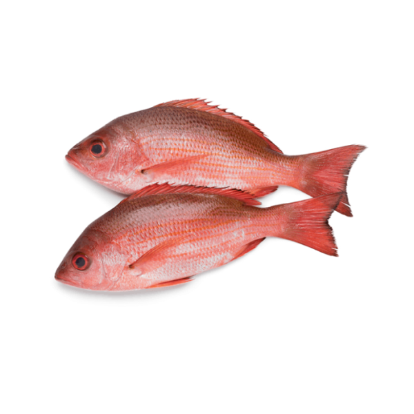 Red Fish (1kg)