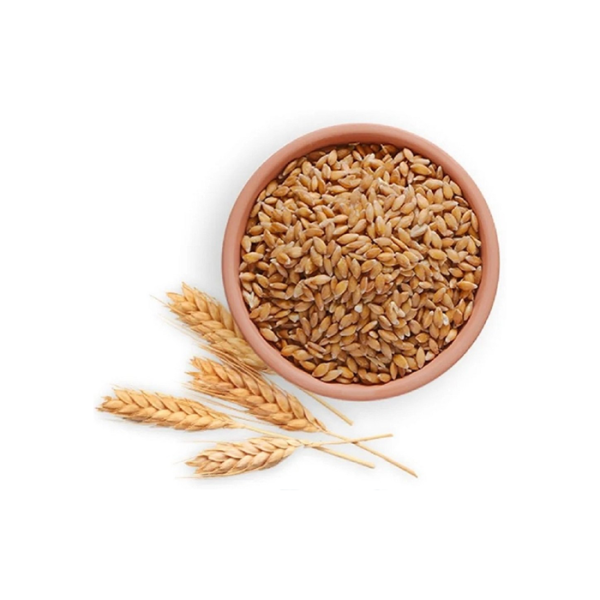 Wheat